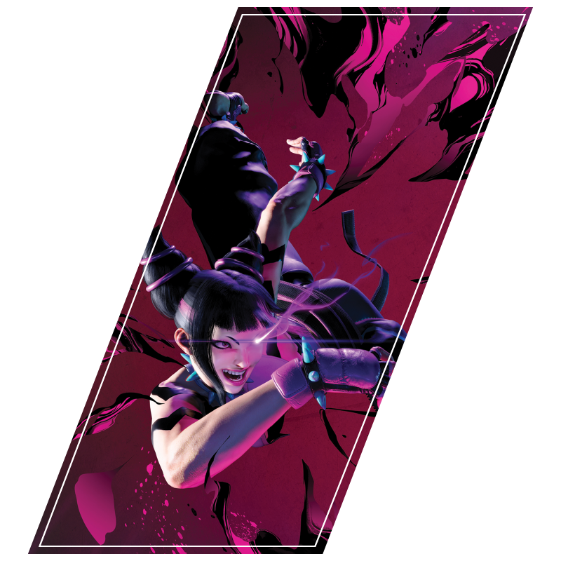 Plax SF6 Selection_Juri